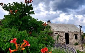 Country House Hacienda